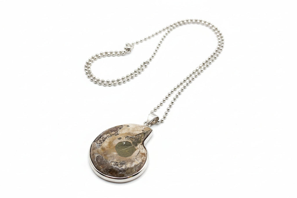 Just Neat Stuff Ammonite Spiral Necklace — back view
