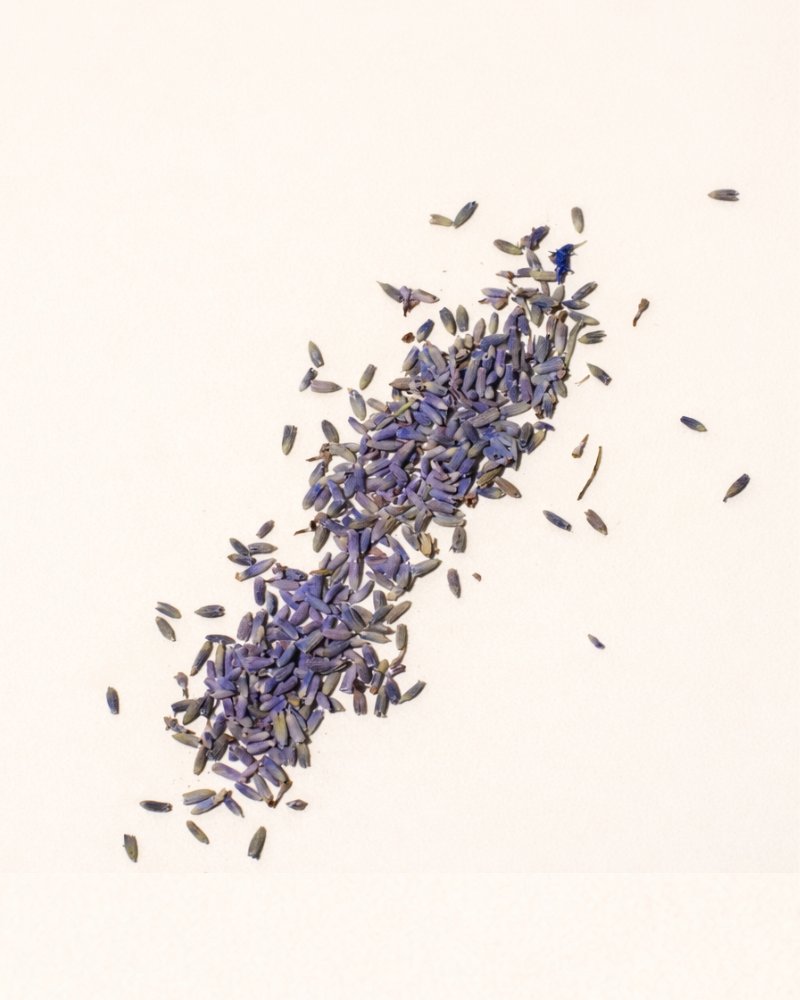 lavender buds – makesy®