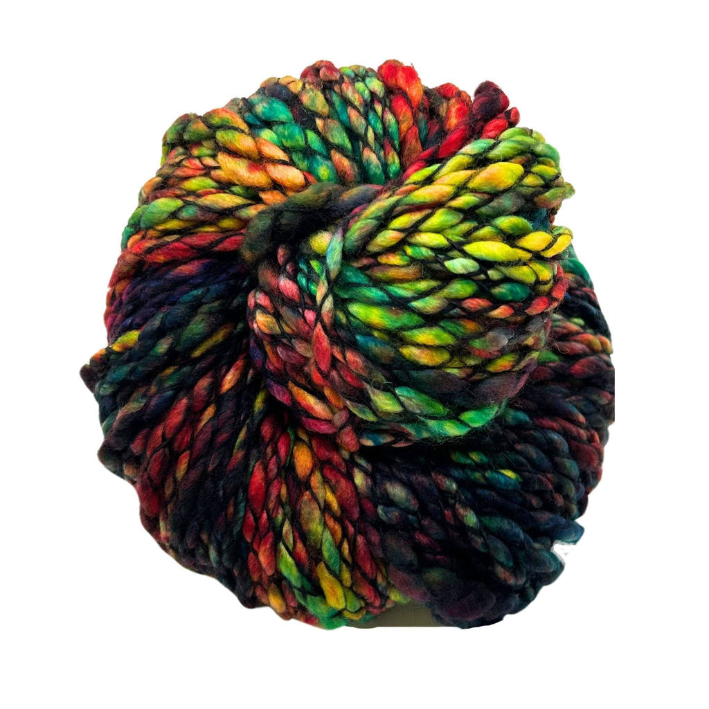 Darn Good Yarn Darn Good Yarn Malabrigo Caracol Yarn — lifestyle worn / used context