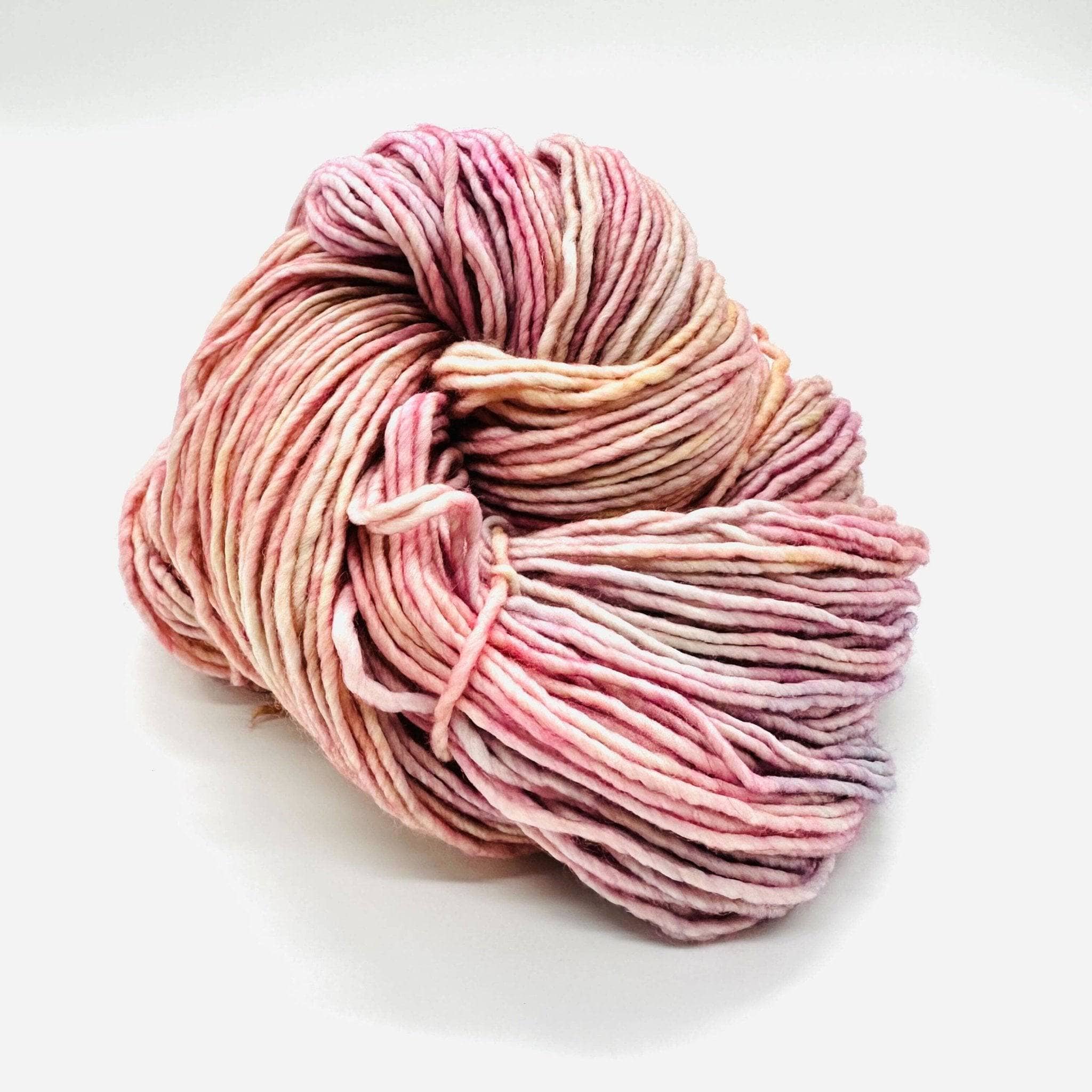 Darn Good Yarn Darn Good Yarn Malabrigo Worsted Yarn — detail shot 8