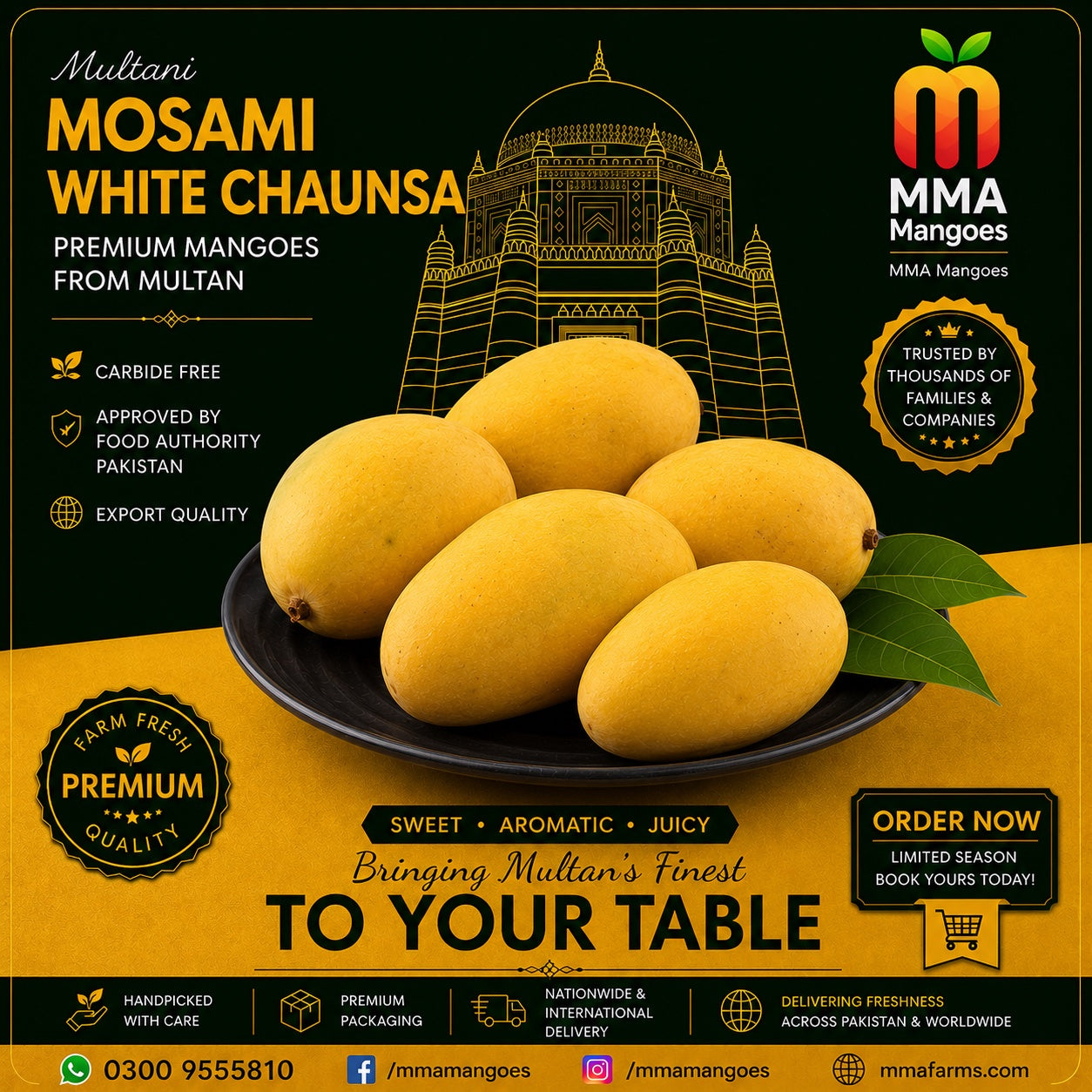 MMA Mangoes MOSAMI CHUNSA