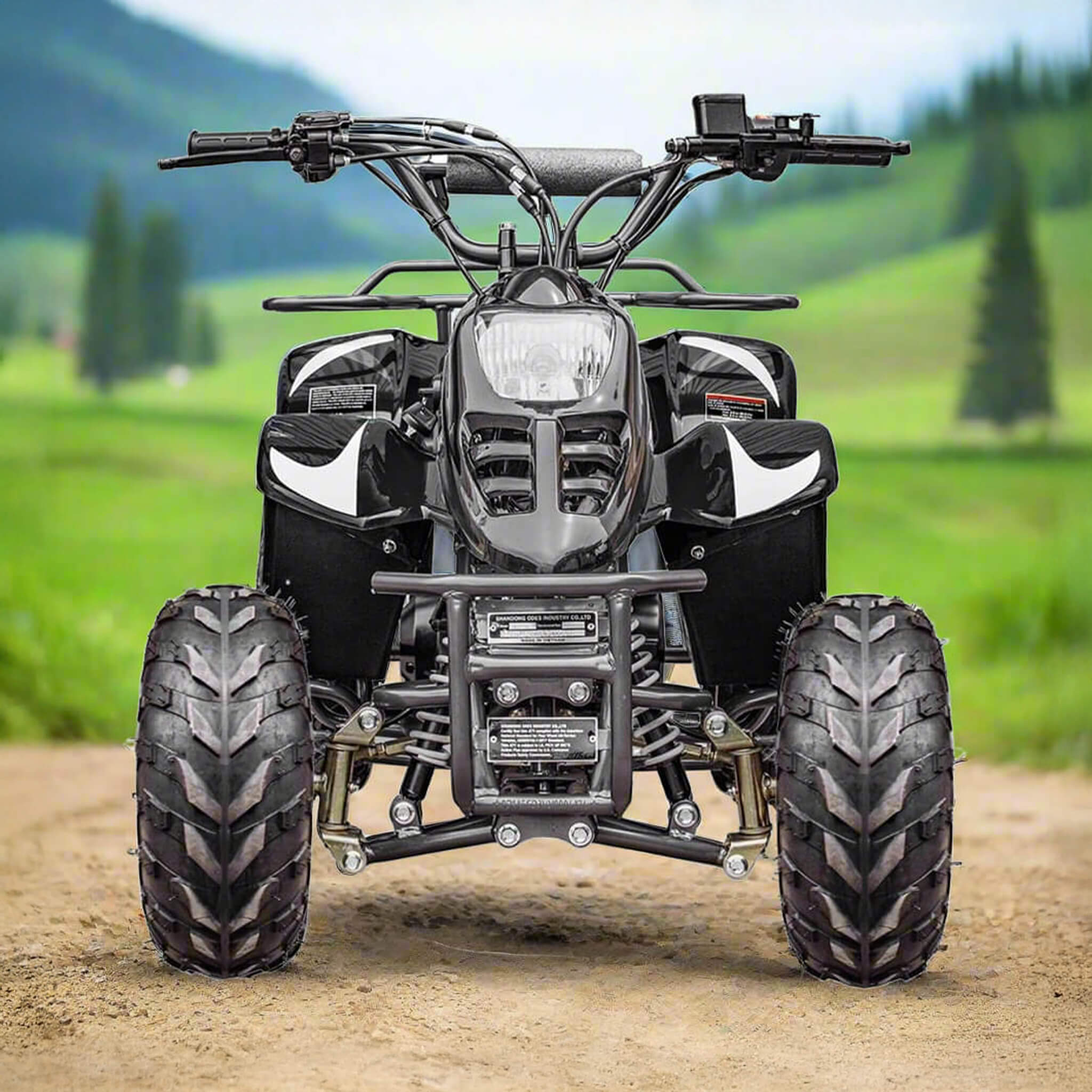 MotoTec Rex 110CC 4-Stroke Mini Kids 4 Wheeler Gas ATV Quad (SAK24197) – SAKSBY WHOLESALE
