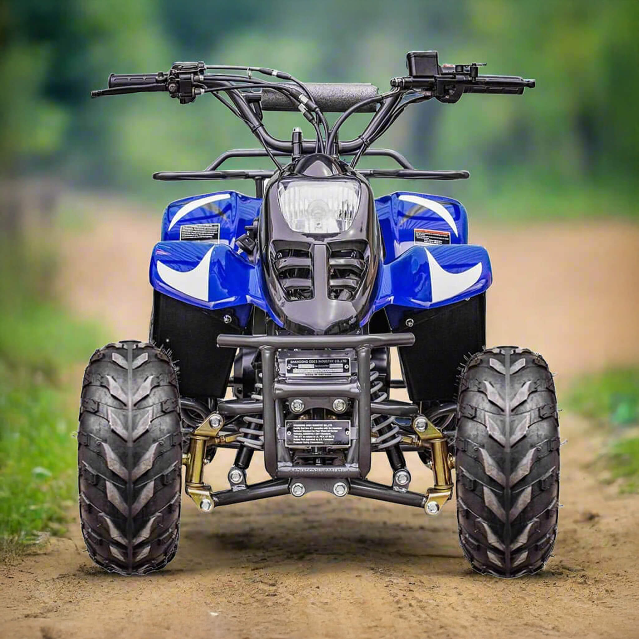 MotoTec Rex 110CC 4-Stroke Mini Kids 4 Wheeler Gas ATV Quad (SAK24197) – SAKSBY WHOLESALE, view 12