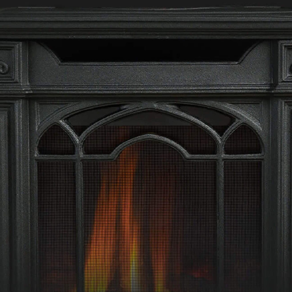 Napoleon Arlington 20 19-Inch Cast Iron Millivolt Ignition Majolica Brown Natural Gas Stove [GDS20NNSB] (SAK43798) – SAKSBY W