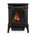 Napoleon Arlington 20 19-Inch Cast Iron Millivolt Ignition Natural Gas Stove [GDS20NSB] (SAK93714) – SAKSBY WHOLESALE