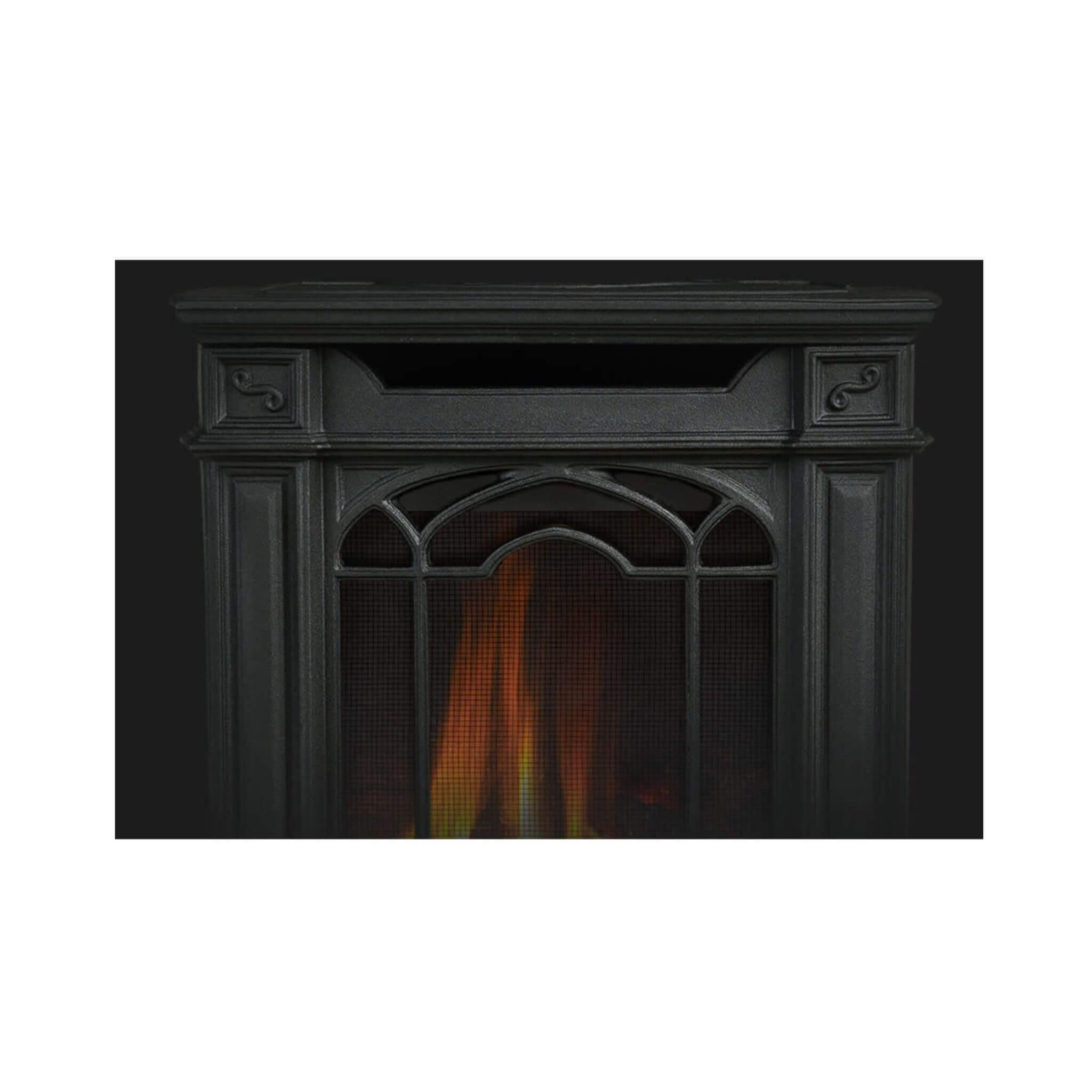 Napoleon Arlington 20 19-Inch Cast Iron Direct Vent Metallic Black Natural Gas Stove [GDS20NE] (SAK18258) – SAKSBY WHOLESALE,