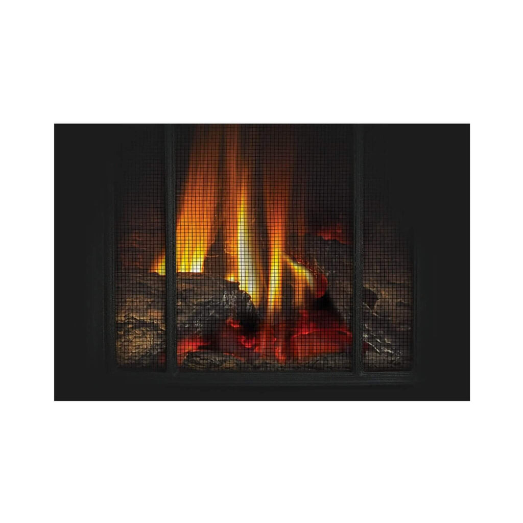 Napoleon Arlington 20 19-Inch Cast Iron Direct Vent Metallic Black Natural Gas Stove [GDS20NE] (SAK18258) – SAKSBY WHOLESALE,