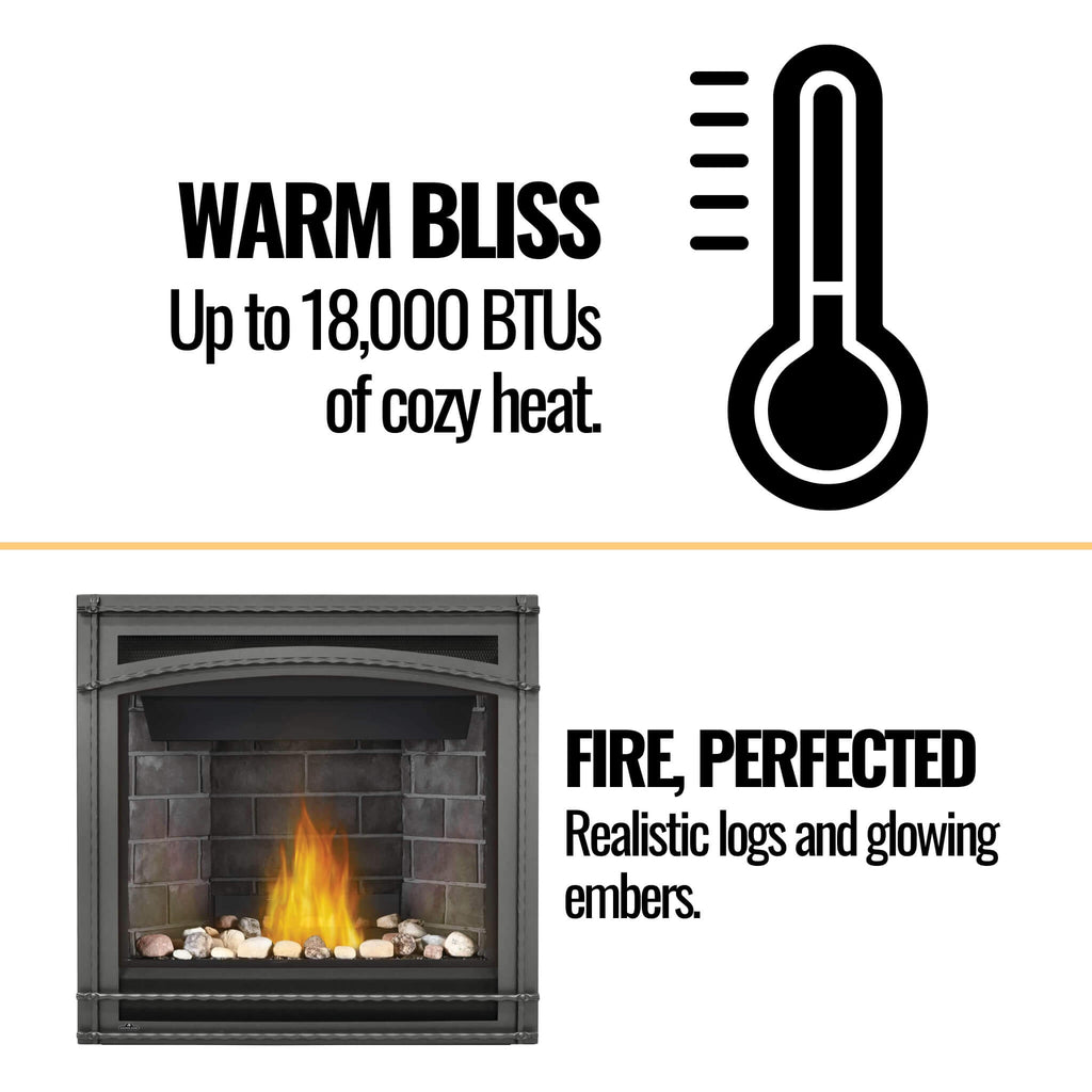 Napoleon Ascent 36 35-Inch Direct Vent Millivolt Ignition Fireplace [B36N/PTR-1] (SAK85316) – SAKSBY WHOLESALE, view 4