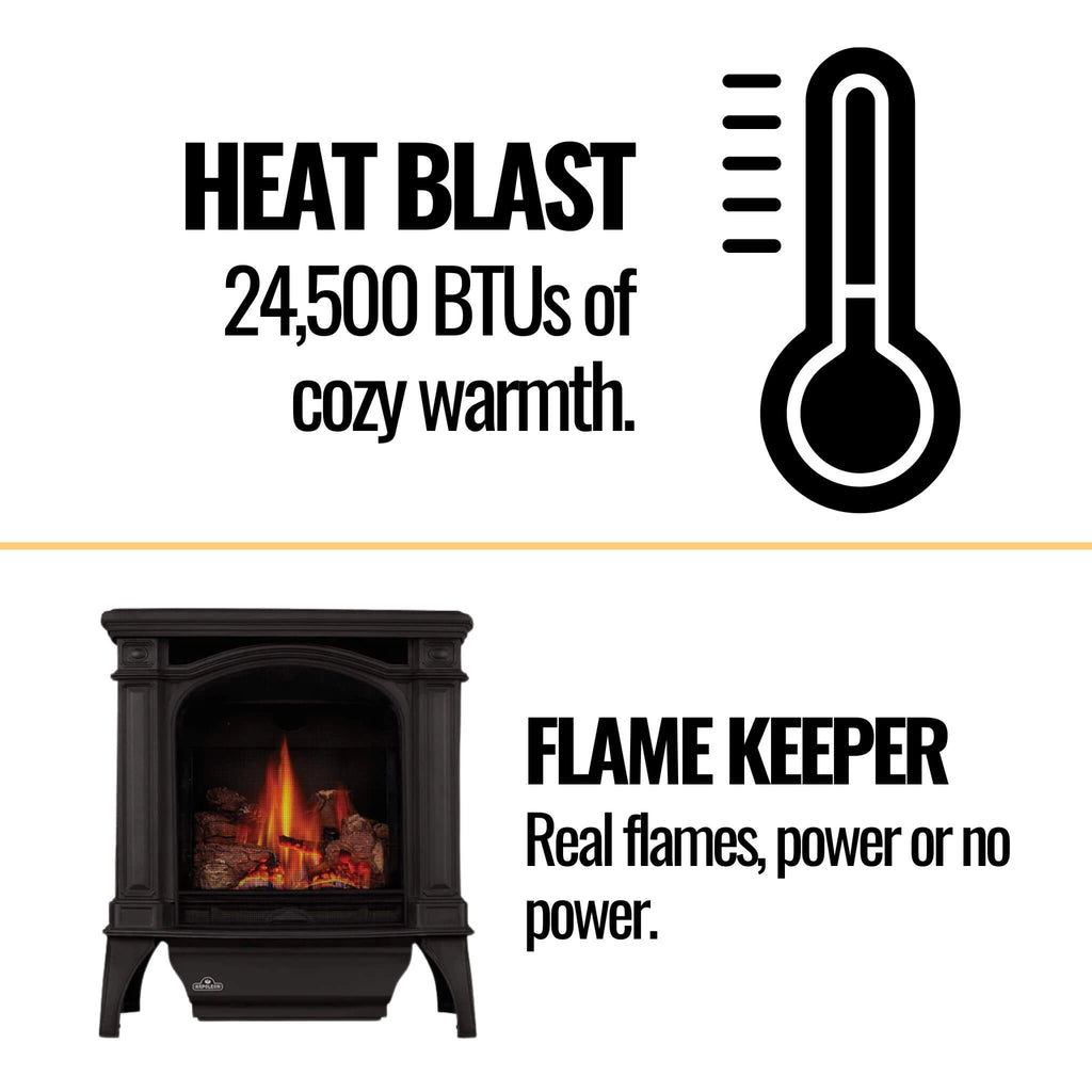 Napoleon Bayfield 25-Inch Direct Vent Electronic Ignition Natural Gas Cast Iron Stove [GDS25NA-1] (SAK95498) – SAKSBY WHOLESA