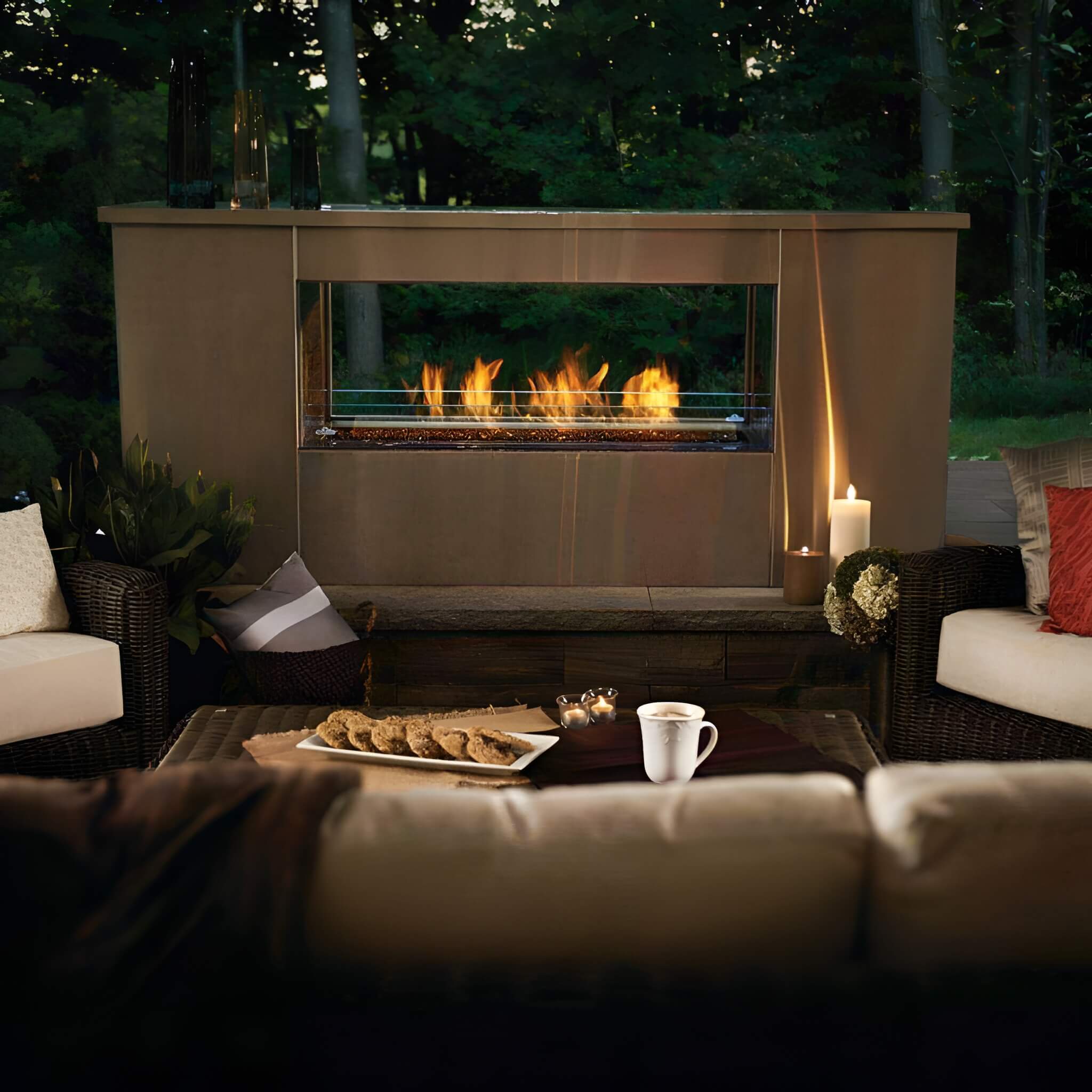 Napoleon Galaxy 48 50-Inch Outdoor Linear See-Thru Electronic Start Natural Gas Fireplace [GSS48STE] (SAK67432) – SAKSBY WHOL