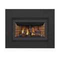Napoleon Inspiration ZC 36-Inch Direct Vent Millivolt Ignition Natural Gas Fireplace Insert [GDIZC-NSB] (SAK58347) – SAKSBY W