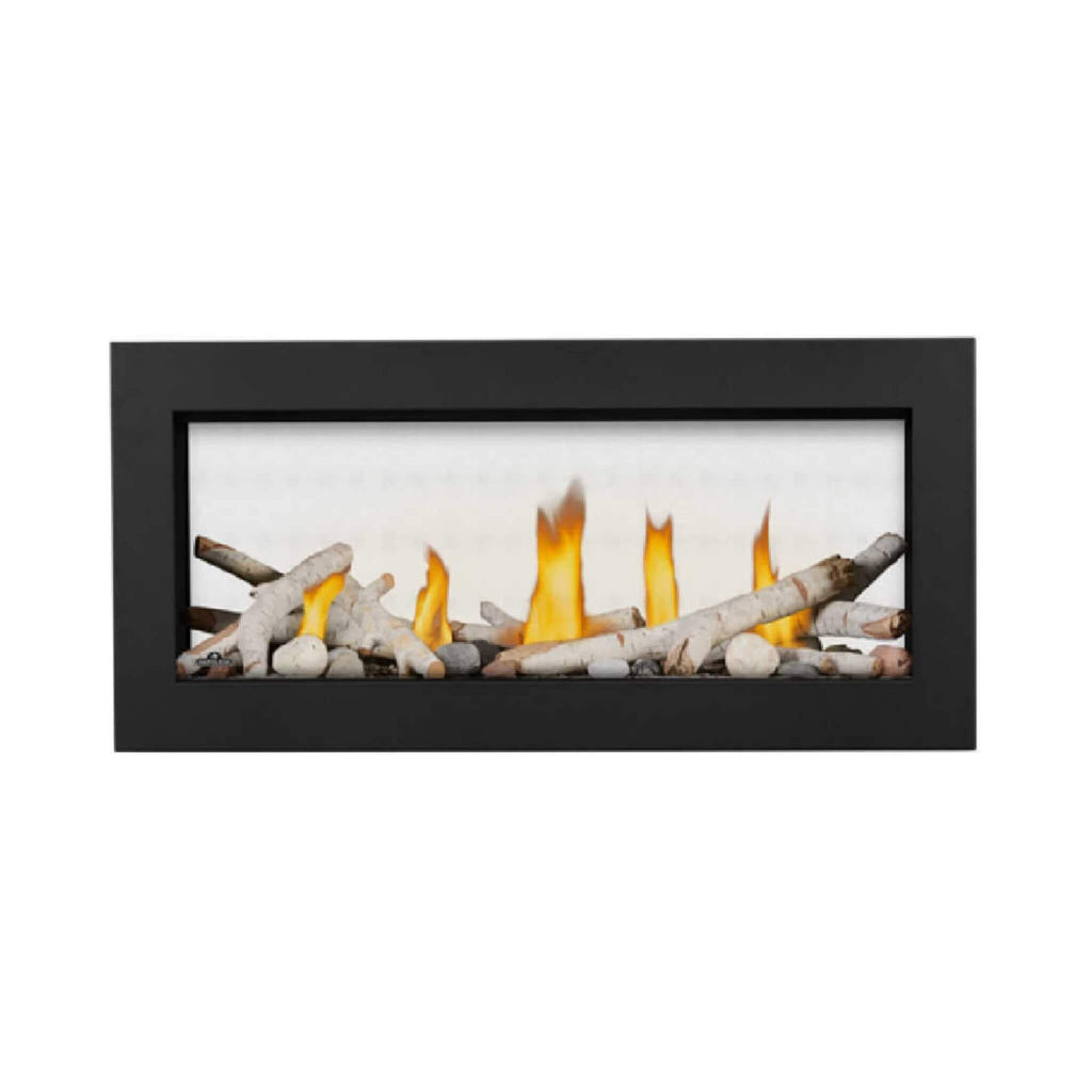 Napoleon Vector 38-Inch See-Through Direct Vent Electronic Ignition Natural Gas Fireplace With eFIRE Bluetooth App [LV38N2-1]