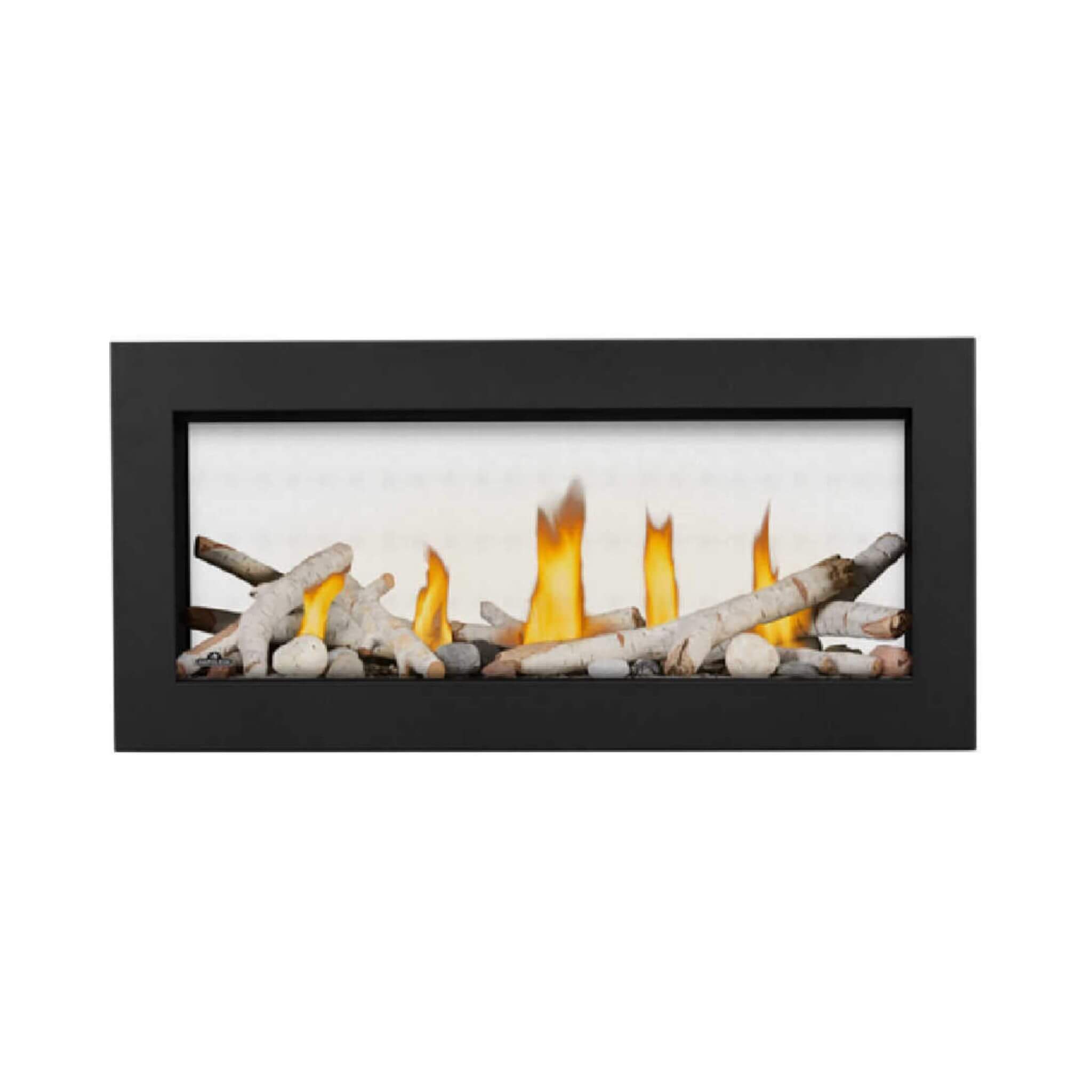 Napoleon Vector 38-Inch See-Through Direct Vent Electronic Ignition Natural Gas Fireplace With eFIRE Bluetooth App [LV38N2-1]