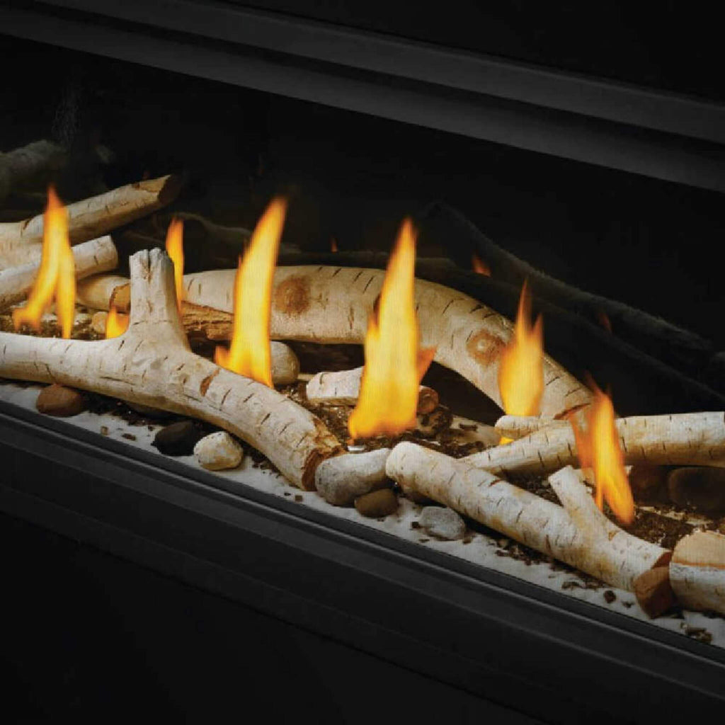 Napoleon Vector 50 Single-Sided 65-Inch Direct Vent Electronic Natural Gas Fireplace With Night Light System [LV50N-2] (SAK29