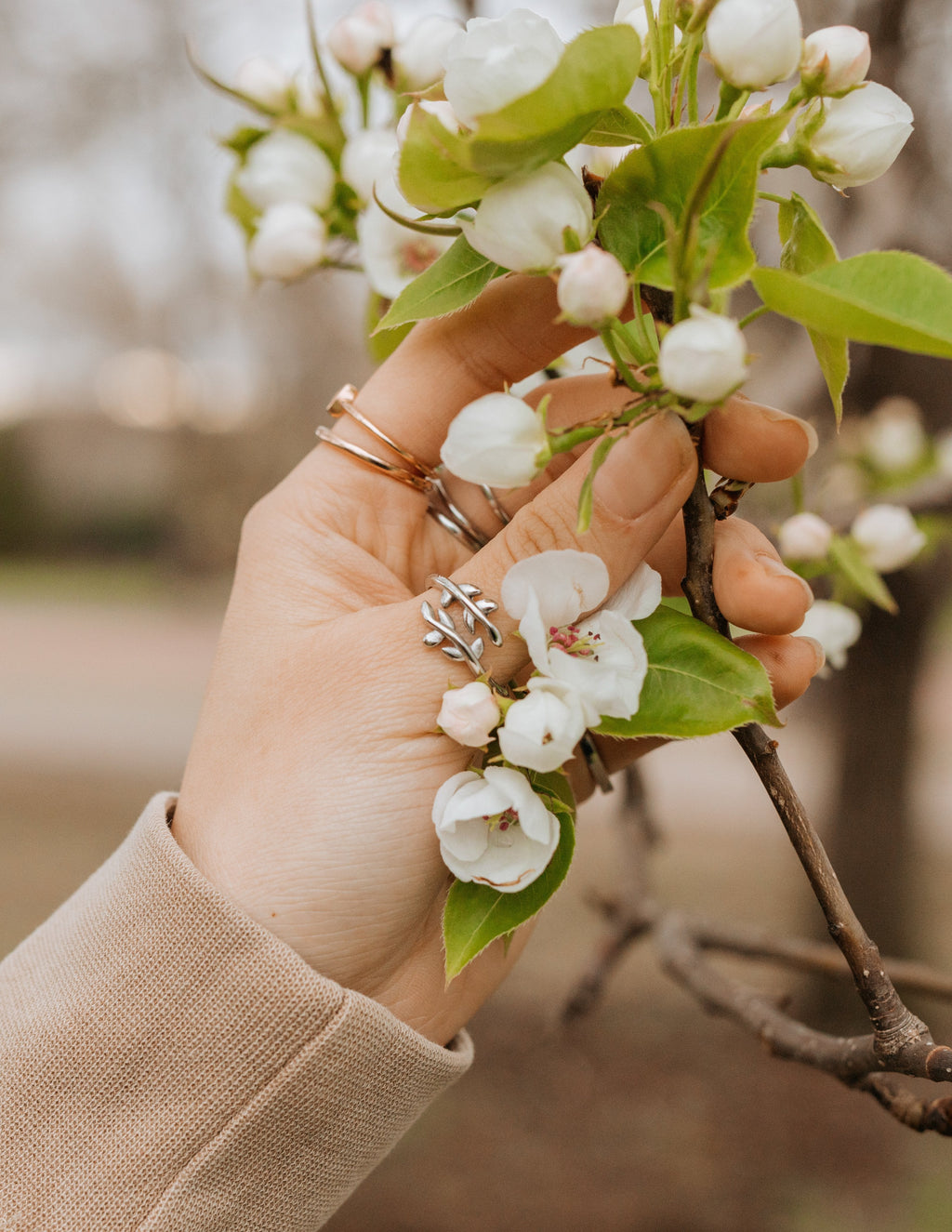 Elevated Faith Olive Branch Ring — side view