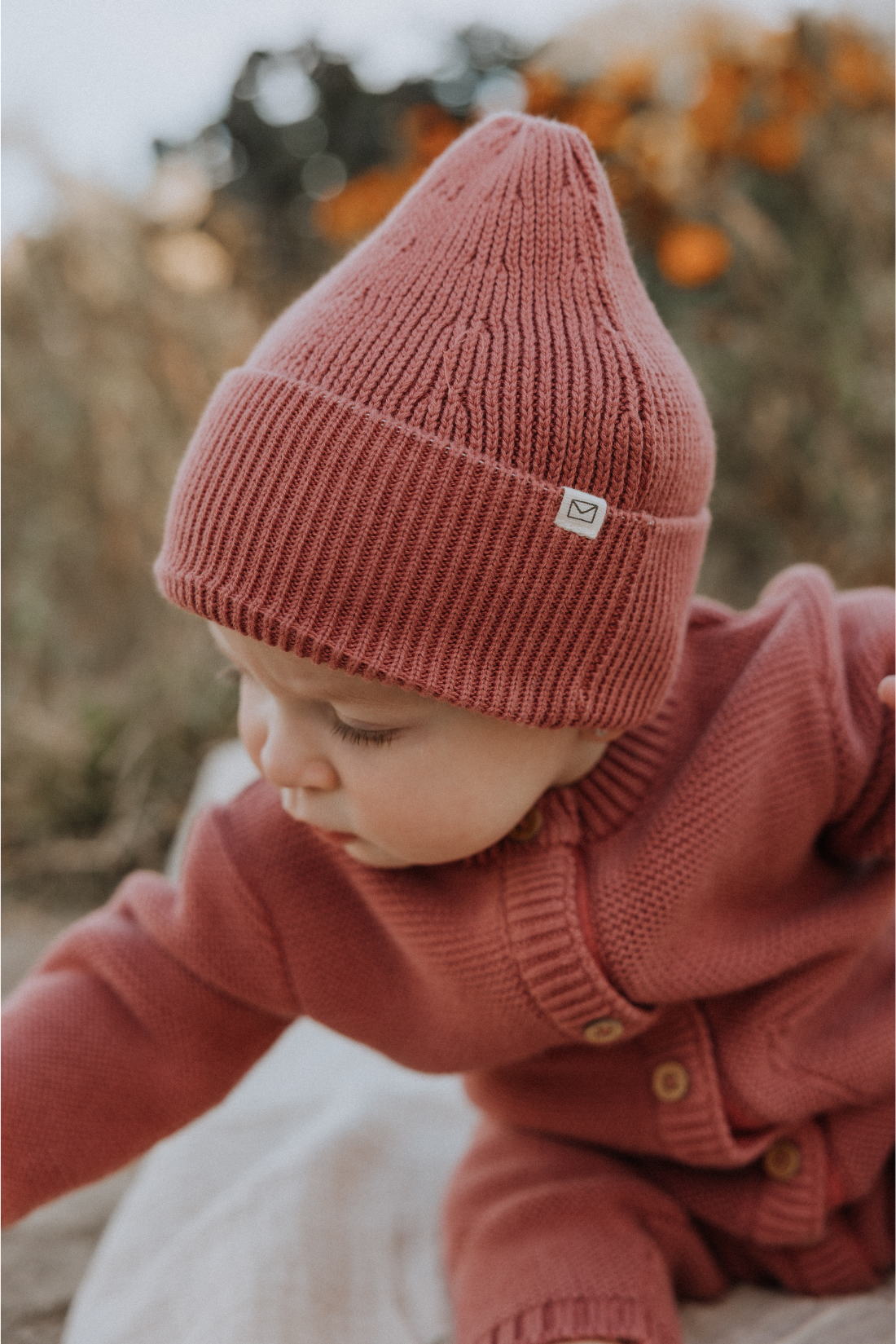 Knit Beanie in Rosewood