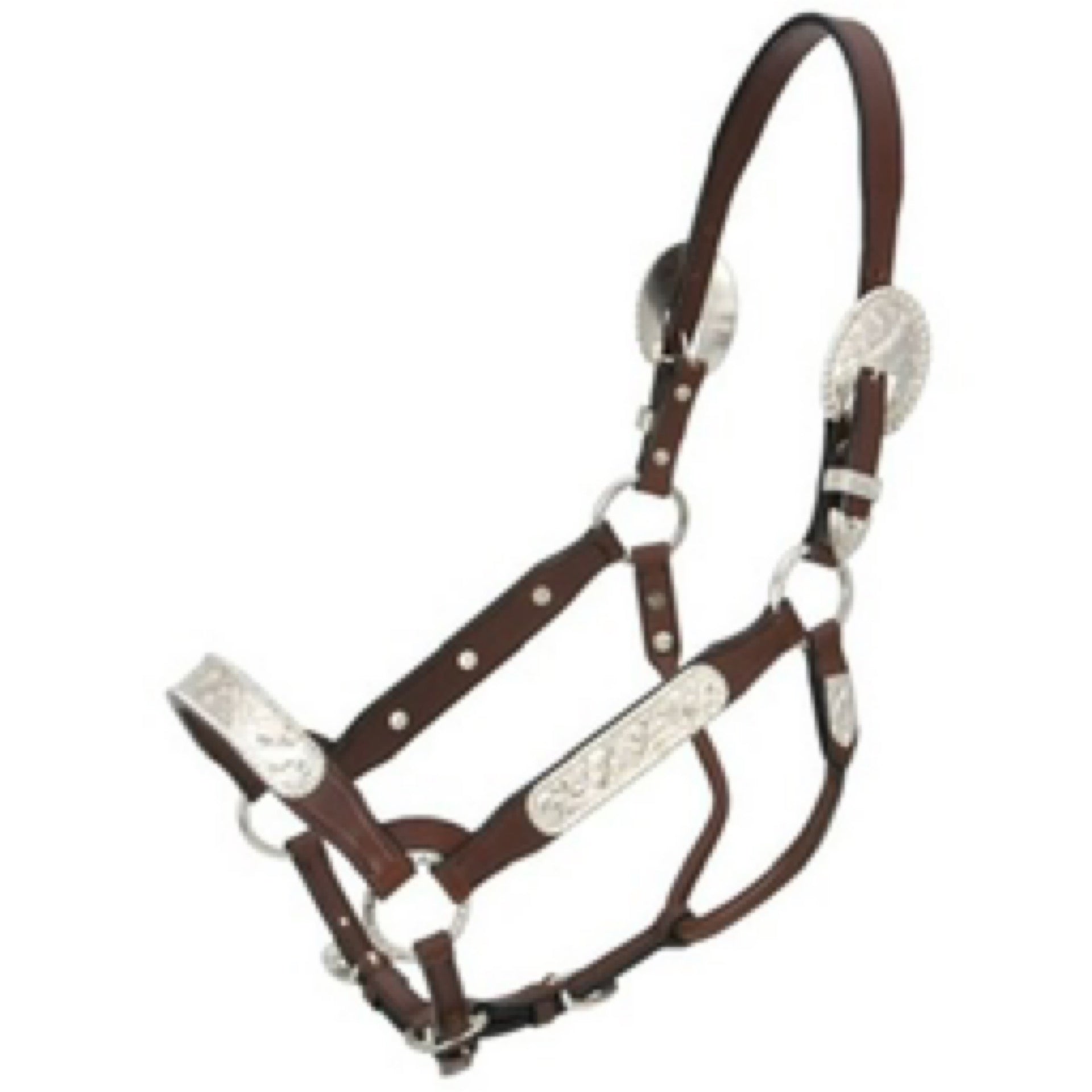 287 RANCH SUPPLY Berry Edge Yearling Show Halter — main product shot