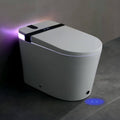 Nuvia Premium Smart Toilet With Bidet Seat LED Display & Night Light (SAK81465) – SAKSBY WHOLESALE