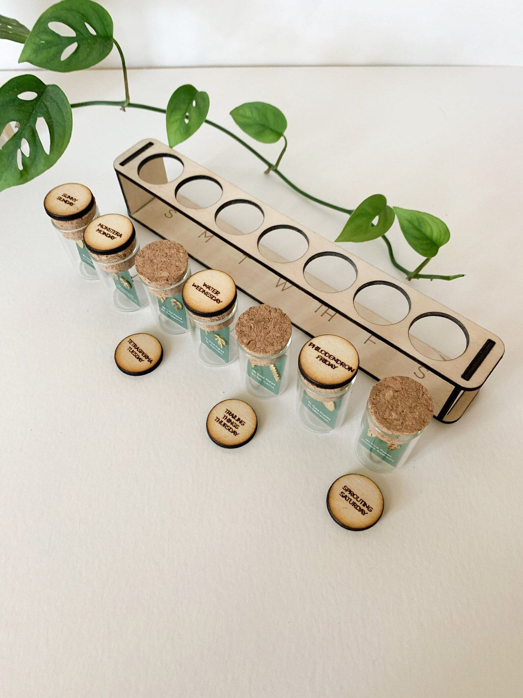 Custom Etched Propagation Stand + 3 Set Tiny Houseplant Earring Studs – Plant Dosage LLC, view 13