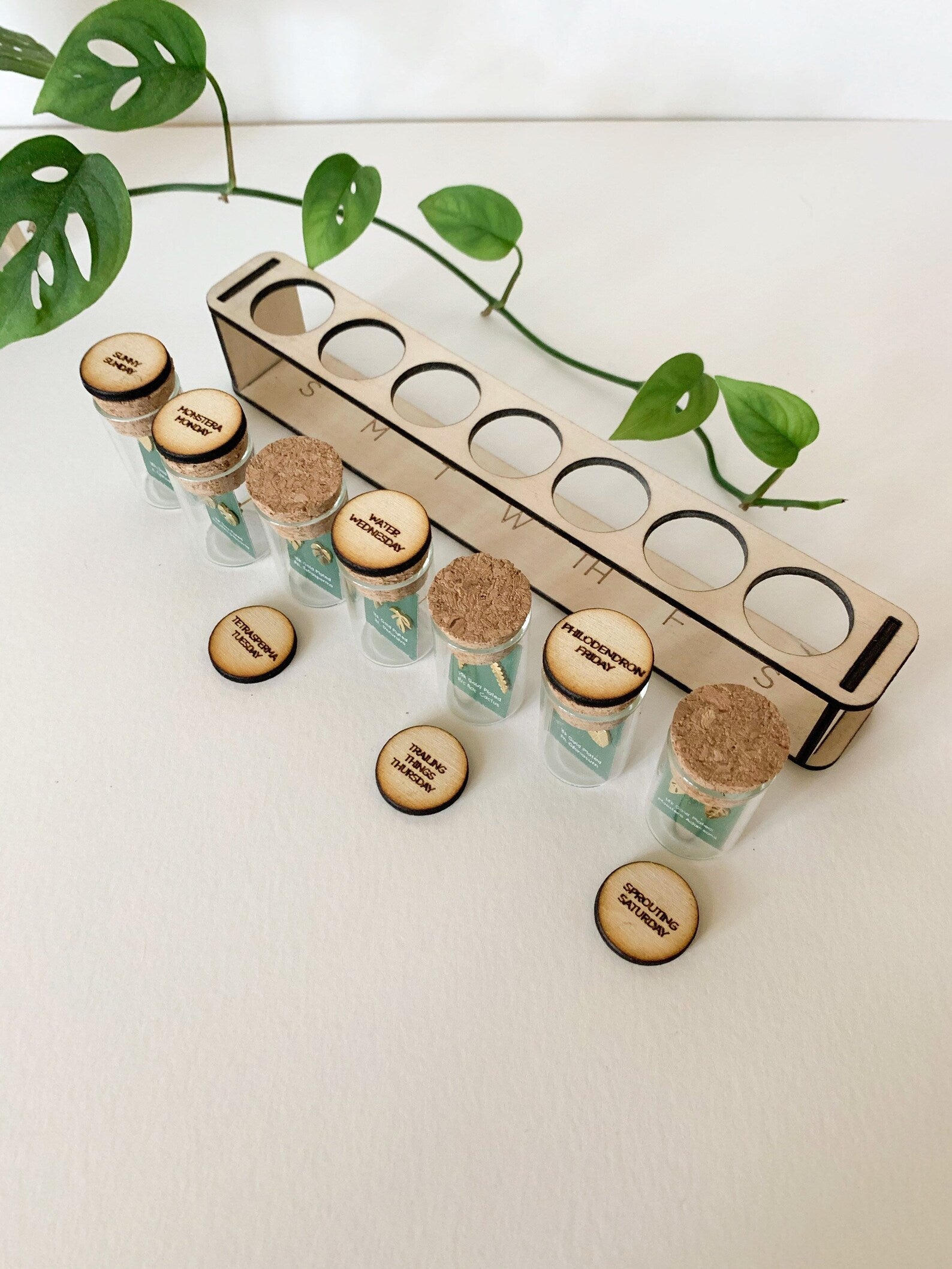 Custom Etched Propagation Stand + 3 Set Tiny Houseplant Earring Studs – Plant Dosage LLC, view 13