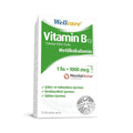 Wellcare Vitamin B12 Supplement - Methylcobalamin Energy Support 5ml