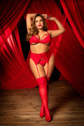 Scarlett Curvy Plus Size Lingerie Set