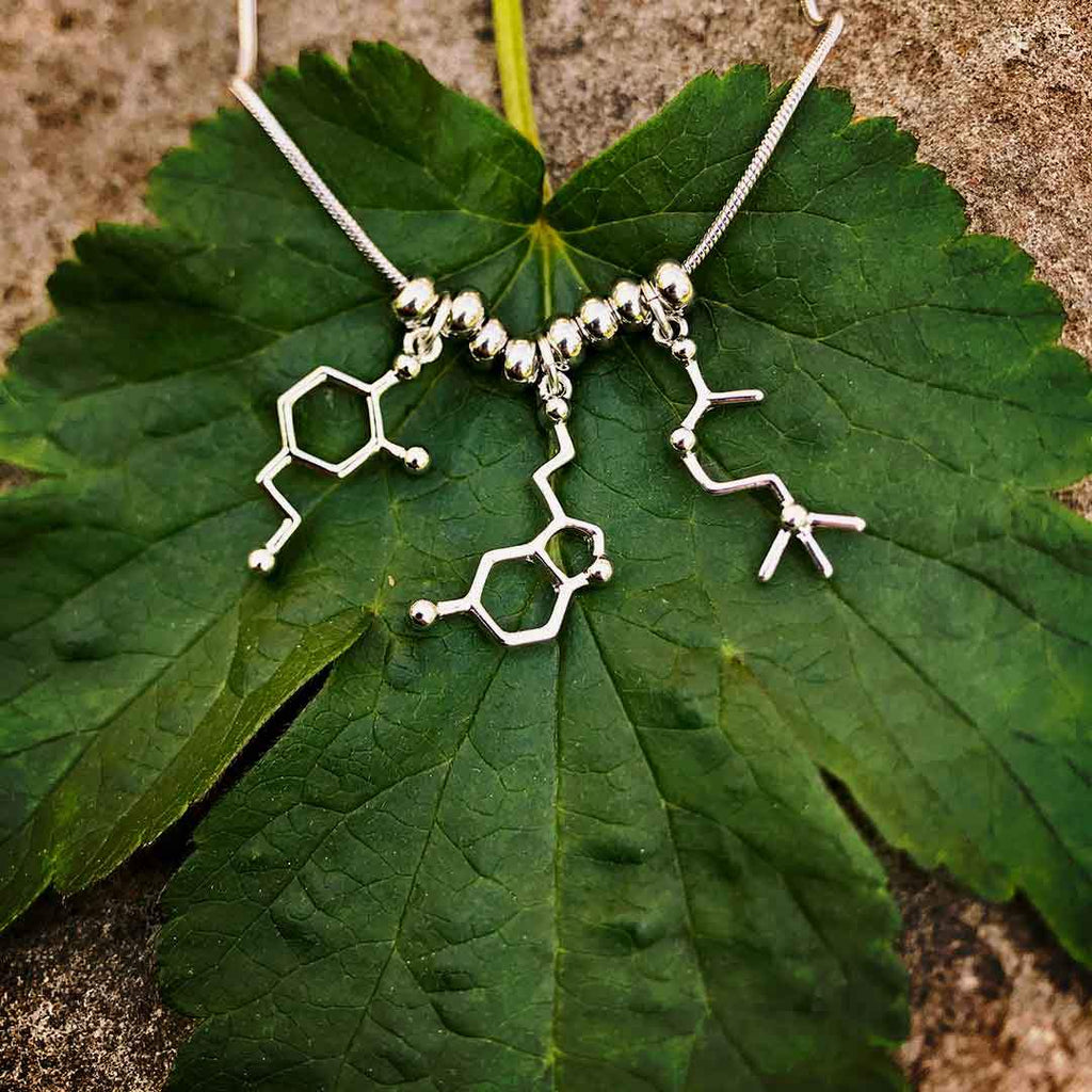 Princess Awesome & Boy Wonder Molecules Necklace — jewelry category context