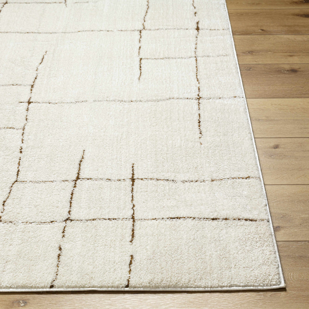 Koume Ivory & Brown Area Rug – Boutique Rugs, view 5