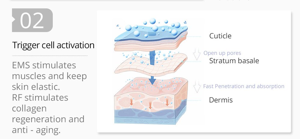 Shape Tactics 2-in-1 RF EMS Mesotherapy Skin Rejuvenation System – Cavitation Machines, view 9
