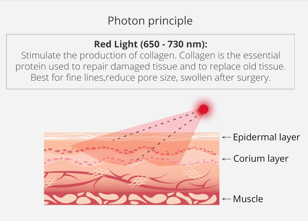 Shape Tactics Portable 6-in-1 Cavitation RF Vacuum Lipo Laser System – Cavitation Machines, view 13