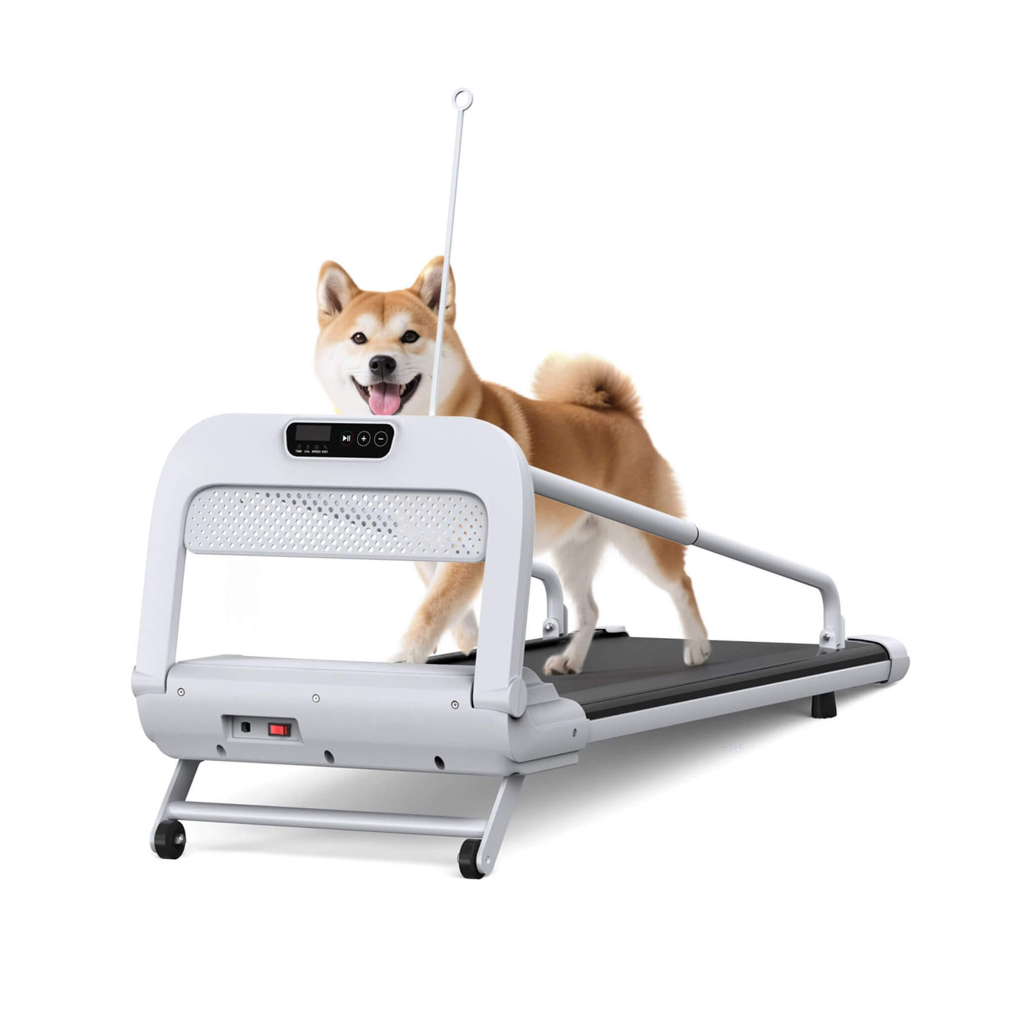 Smart Pet Treadmill With Adjustable Speed For Small And Medium Dogs (SAK72537) – SAKSBY WHOLESALE