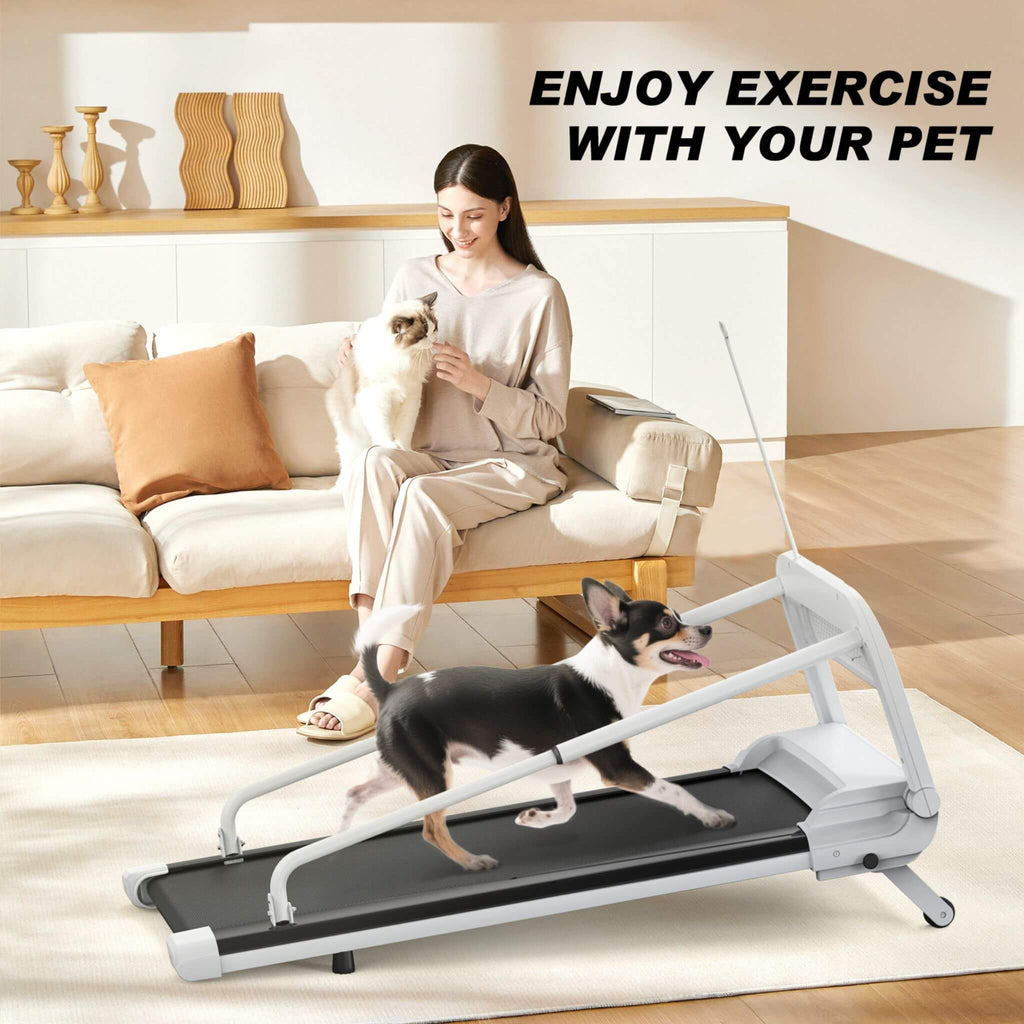 Smart Pet Treadmill With Adjustable Speed For Small And Medium Dogs (SAK72537) – SAKSBY WHOLESALE, view 10