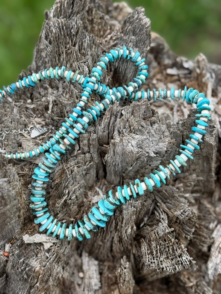 Wild Junkie Southwest Heishi Long Strand Beaded Necklace — back view