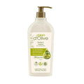 Dalan d'Olive: Natural Olive Oil Body Lotion - 48-Hour Moisture, Vegan Formula, Best for Dry Skin (13.53 fl oz)