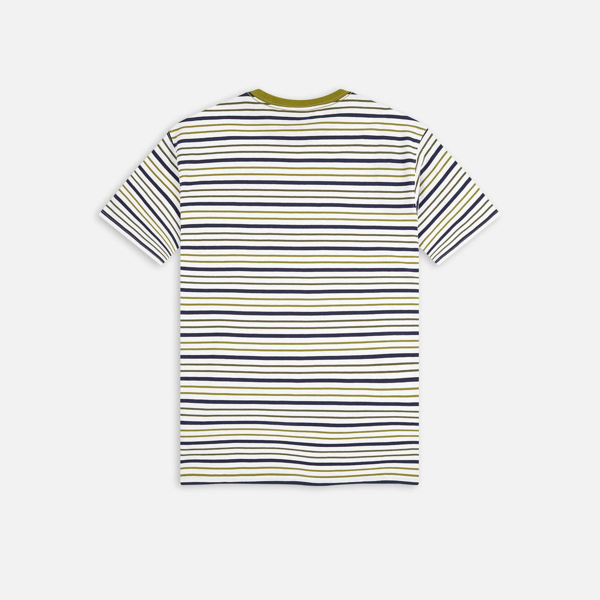 Dickies Skateboarding Stripe Graphic T-Shirt - Green Moss (WES)