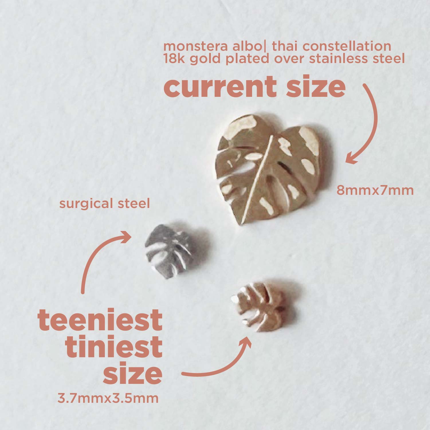 Flat Back- Teeniest Tiniest Monstera Deliciosa Earring Studs – Plant Dosage LLC, view 5