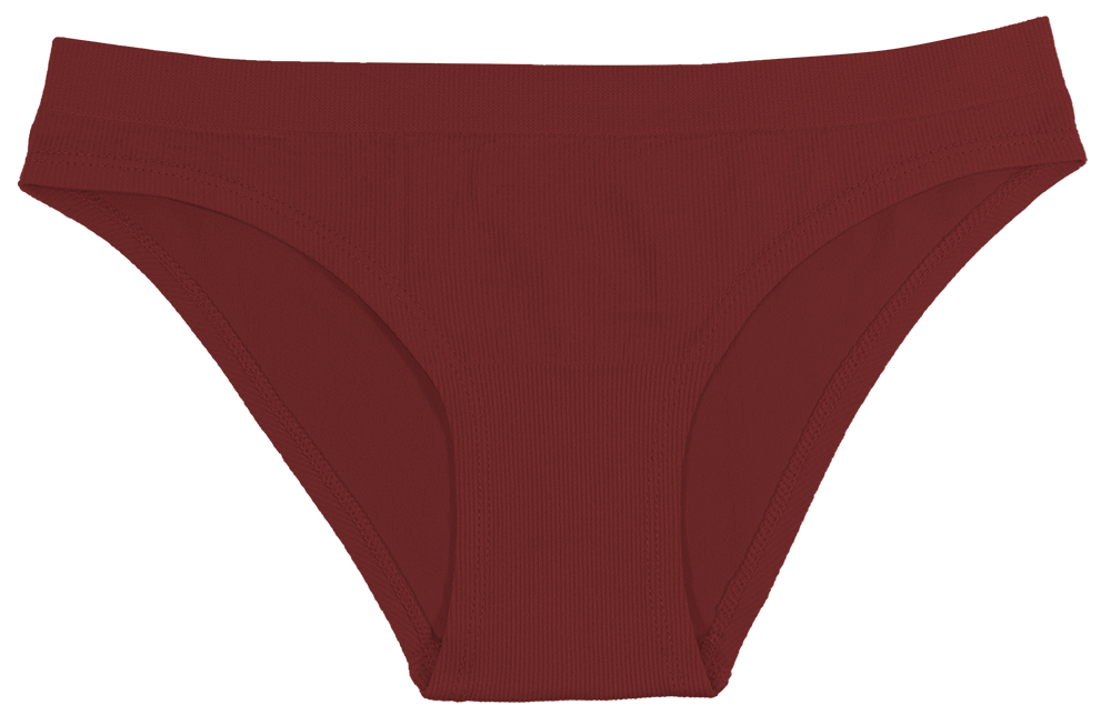 Love Libby Panties Mystery Seamless Tag Free Bikini 4-Pack — product on model