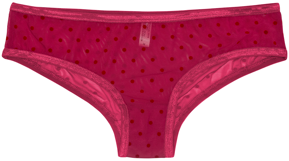 Love Libby Panties Polka Dot Mesh Bikini with Satin Trim — main product shot