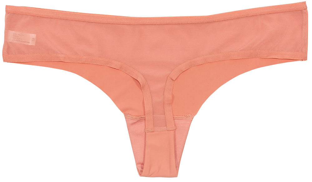 Love Libby Panties Pink Laser Cut Thong with Mesh Back — lifestyle worn / used context