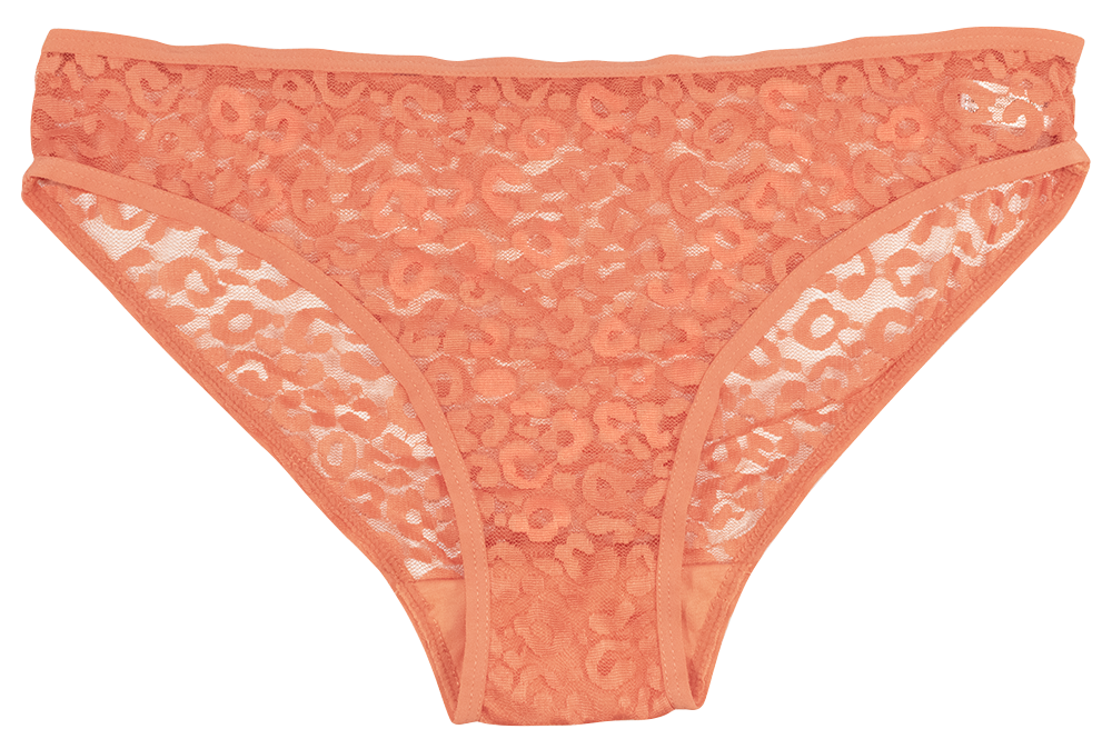 Love Libby Panties Leopard Lace Hipster — main product shot