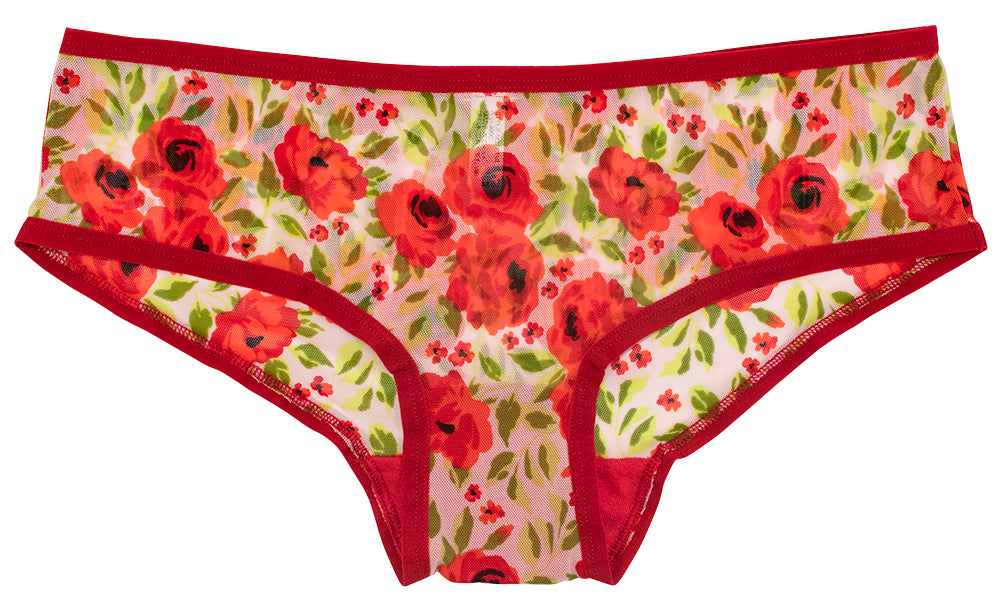 Love Libby Panties Mesh Floral Hipster – XS–3X — main product shot