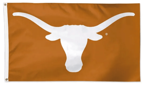 Texas Longhorns by Flags Unlimited