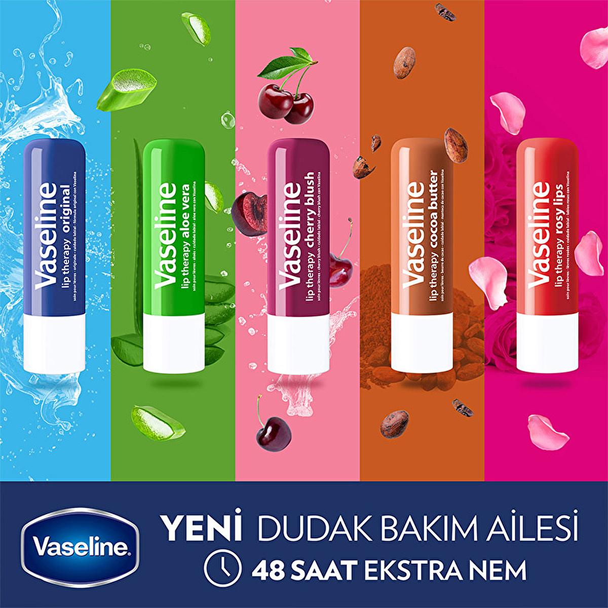 Vaseline Aloe Vera Lip Care Balm - 48 Hour Moisturization for Dry, Chapped Lips
