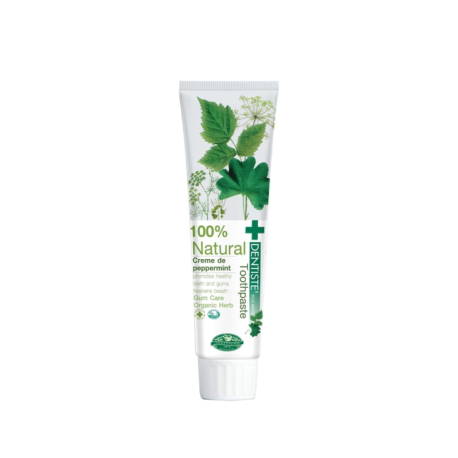 Dentiste 100% Natural Toothpaste - Chemical-Free Oral Care for a Healthy Smile