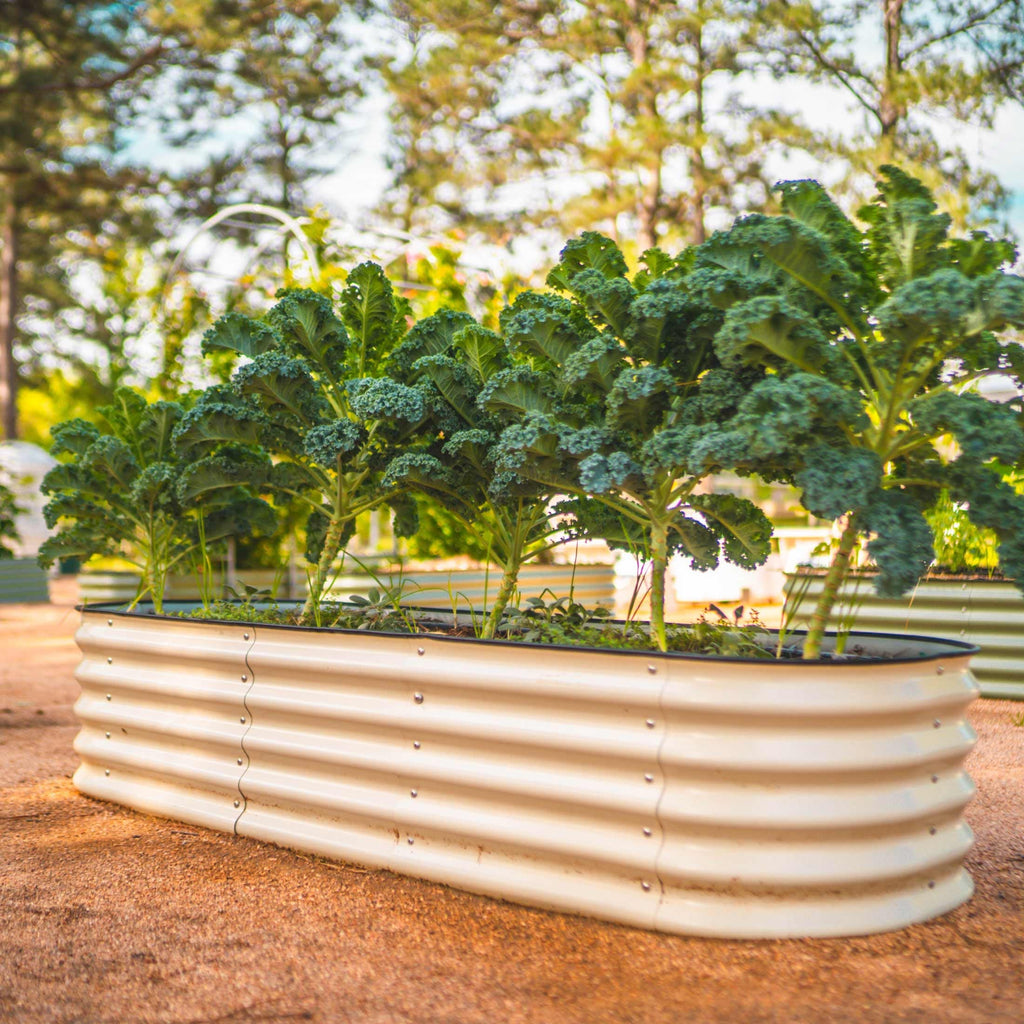 17" Tall 6 In 1 Medium Modular Metal Raised Garden Bed Kit – Vego Garden, view 16