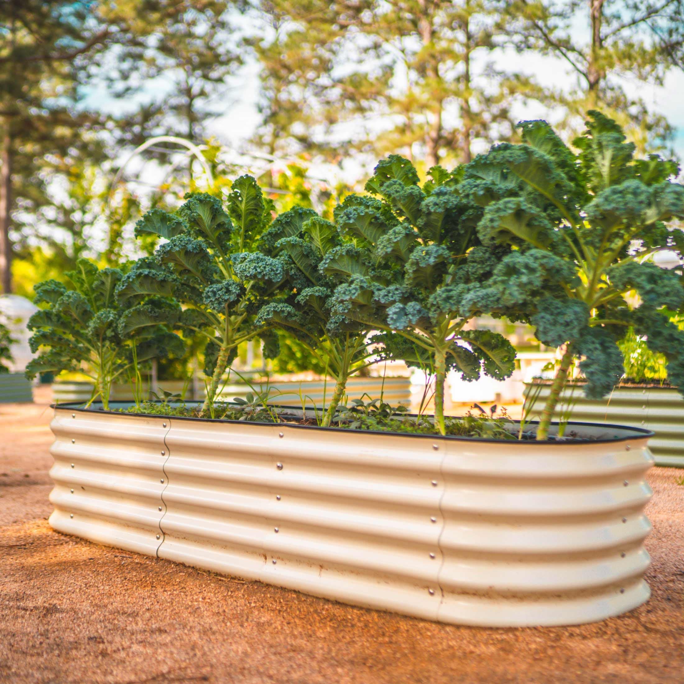 17" Tall 6 In 1 Medium Modular Metal Raised Garden Bed Kit – Vego Garden, view 16