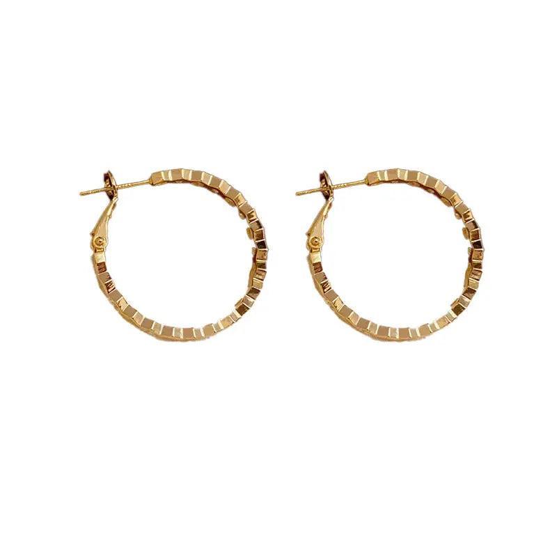Mariam's Collection MAC147 Vintage Style Zircon Inlaid Hoop Earrings Elegant — lifestyle worn / used context