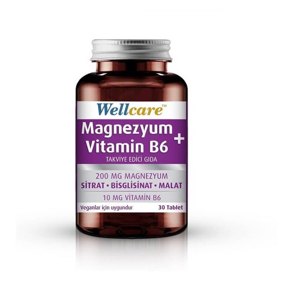 Wellcare Magnesium and Vitamin B6 30 Tablets