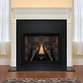 White Mountain Hearth (Empire) Tahoe 36-Inch Clean Face Direct Vent Natural Gas Traditional Premium Fireplace [DVCP36BP30N/70