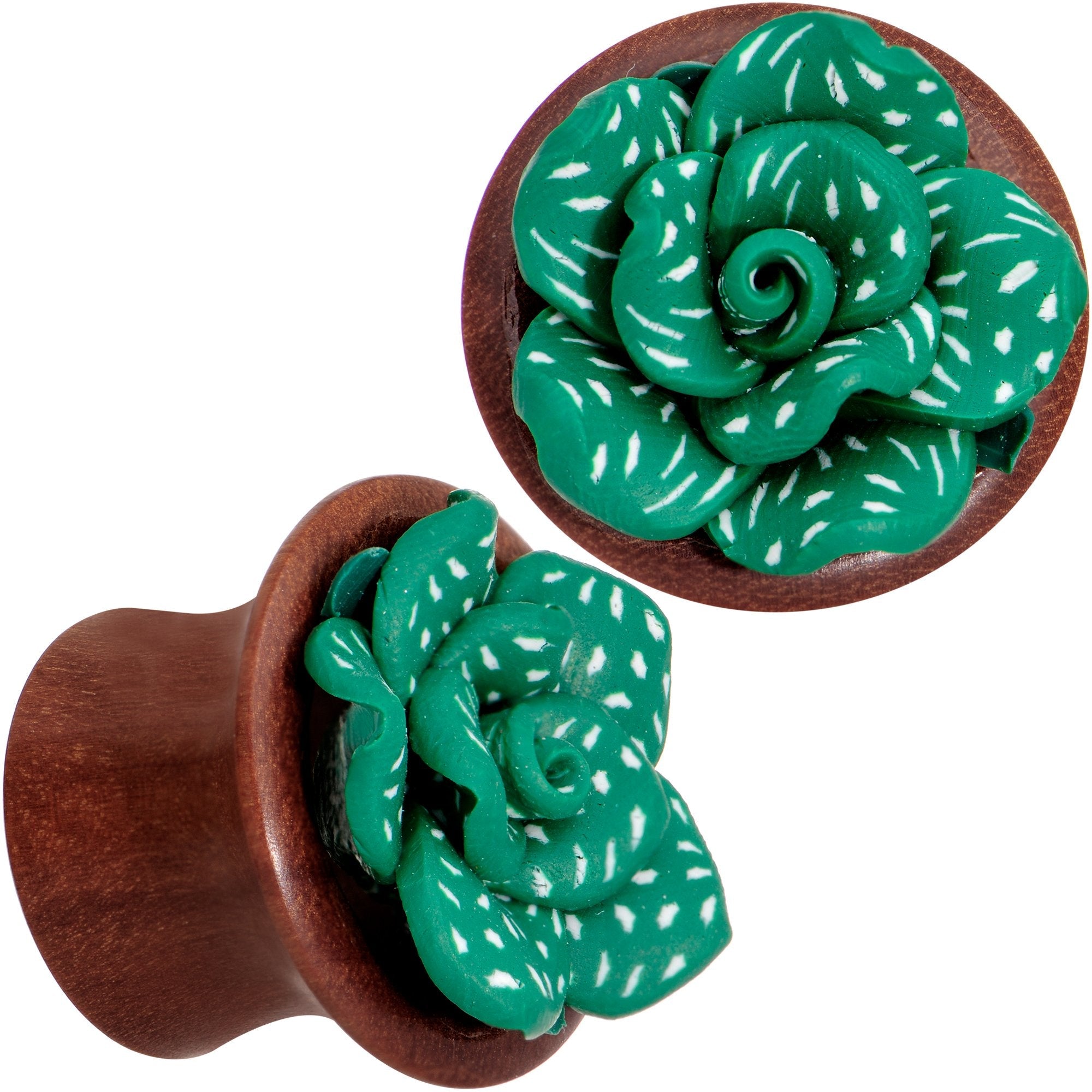 BodyCandy Handcrafted Rosewood Speckled Green Succulent Saddle Plug Set Sizes 14mm to 20mm — lifestyle context